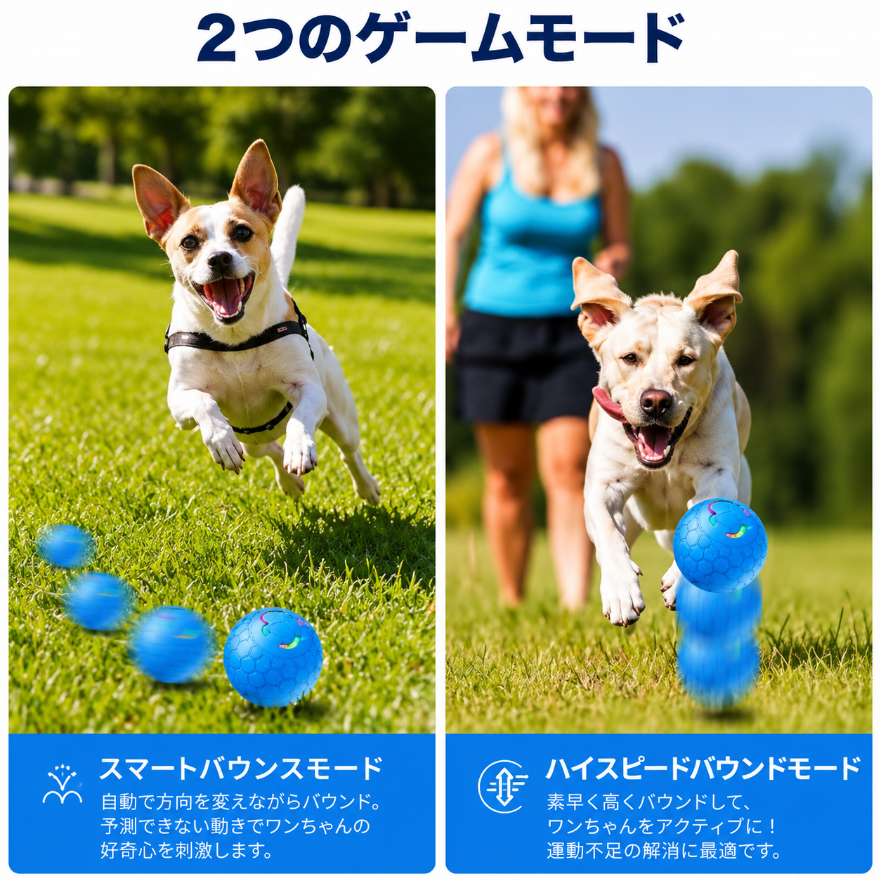 WaggleBall™ 運動不足解消グッズ